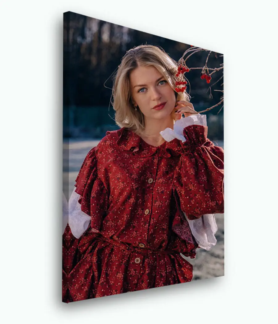 Картина Рукав, сукня та червоний колір s33415